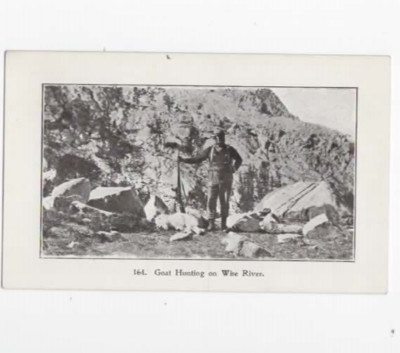 Goat Hunting on Wise River 1916 postcard  Montana