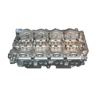Zylinderkopf Nackt FüR Nissan Navara 2.5 Dci YD25DDTI / YD25ETI