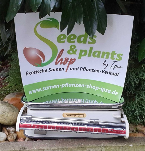 35000 exotische Artikel Samen