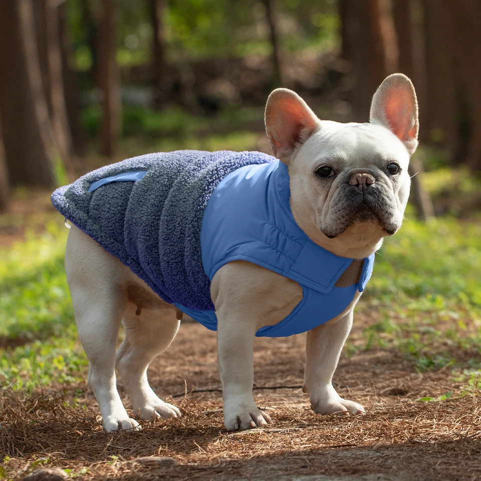 Abrigo a prueba de viento para perro chaqueta para nieve chaleco correa ajustable S-4XL azul nuevo Foto 3 de 4