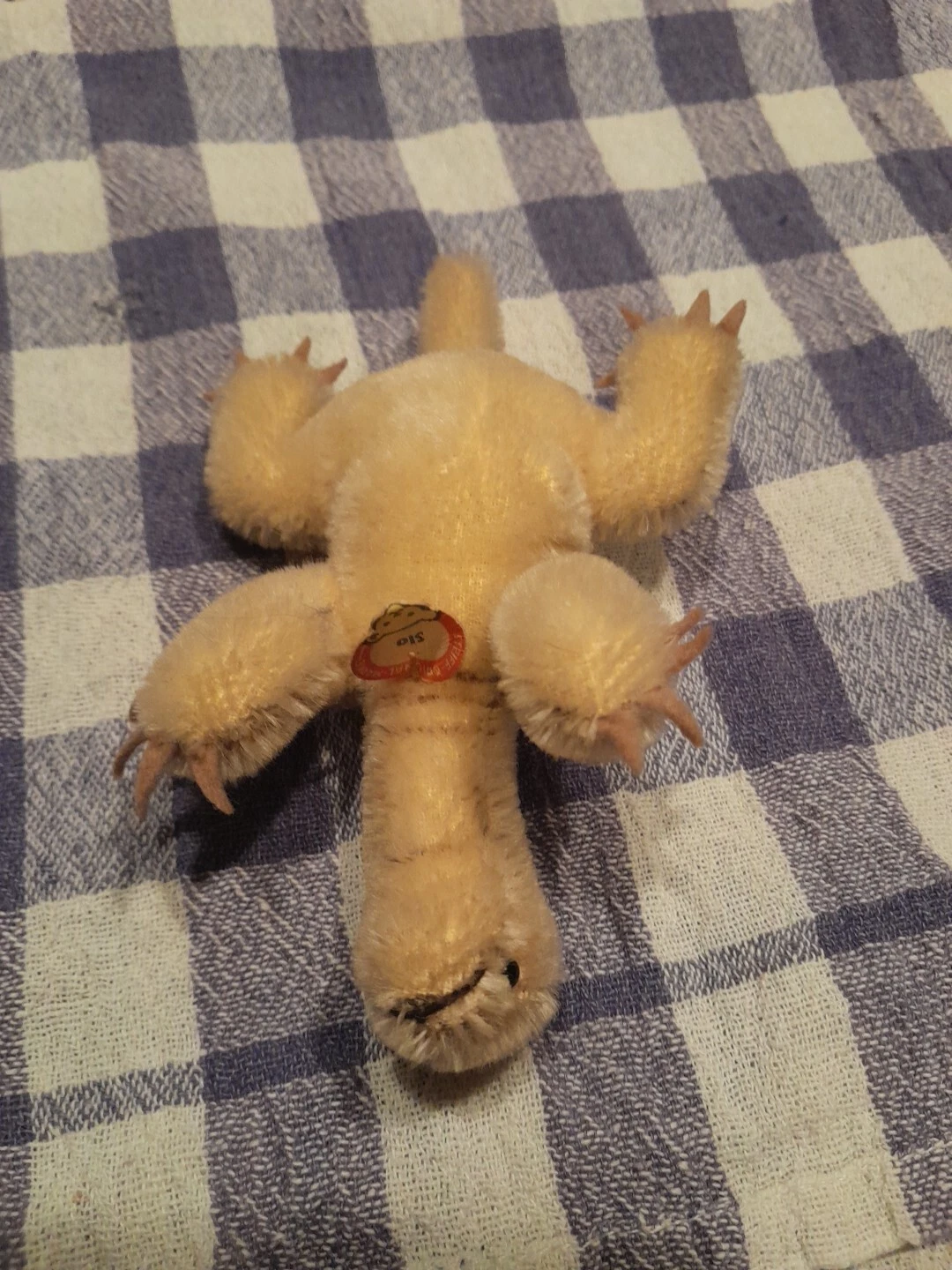 Bild 5 von 5