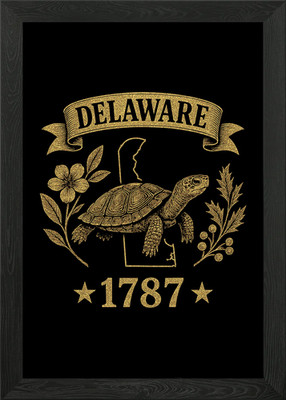 Delaware 1787 Schildkröte Küste Natur gerahmtes Wandbild Poster Leinwanddruck Bild
