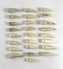 25 - 1 " DRILLED DEER ELK ANTLER TINE TIPS ARTS CRAFTS JEWELRY TOGGLES Bag 1884