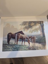 Persis Clayton Weirs Spring Morning Wild Wings Horse Art Print 2002 approx 19x26