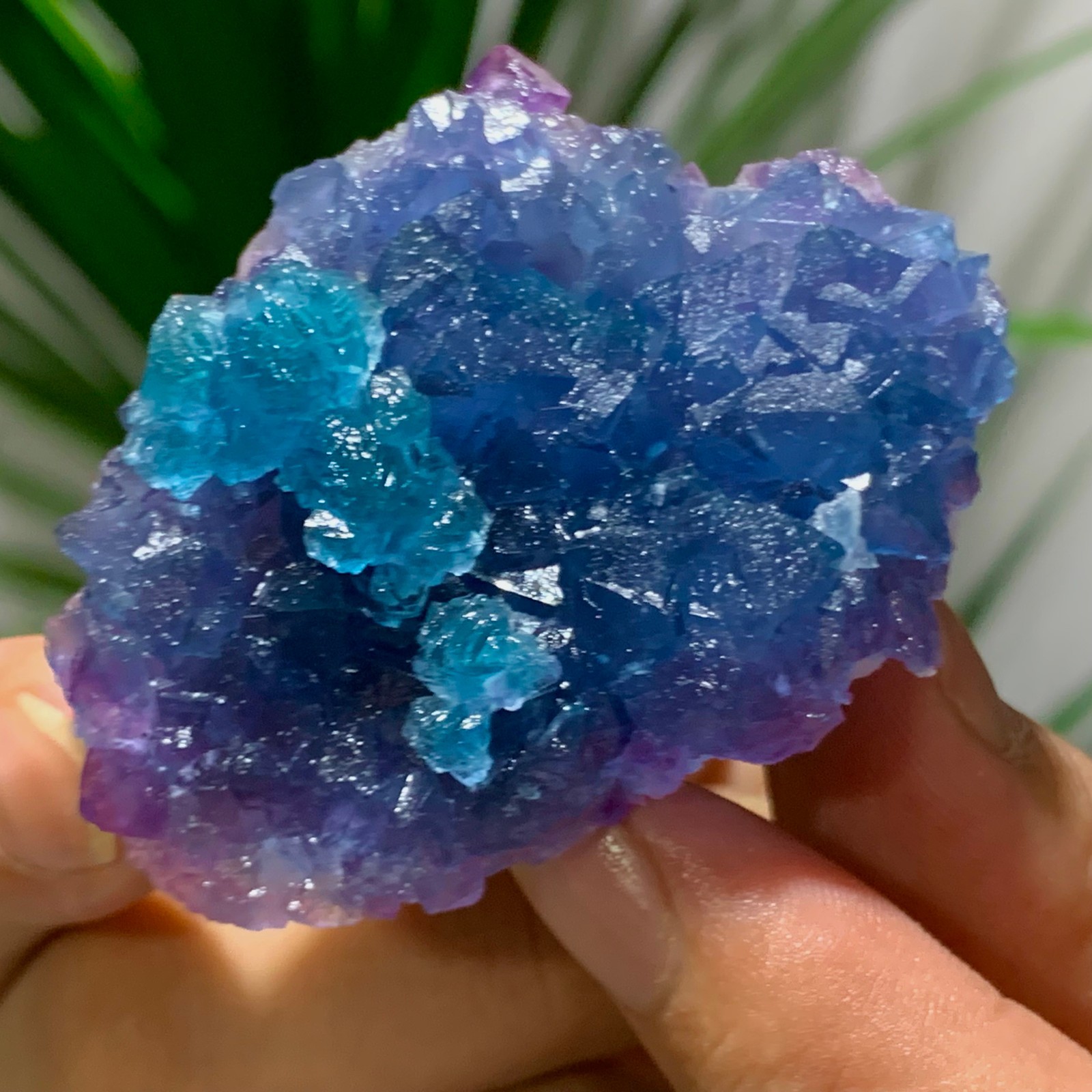 88G Rare Blue Purple Cubic Fluorite Crystal Specimen from Zhejiang China
