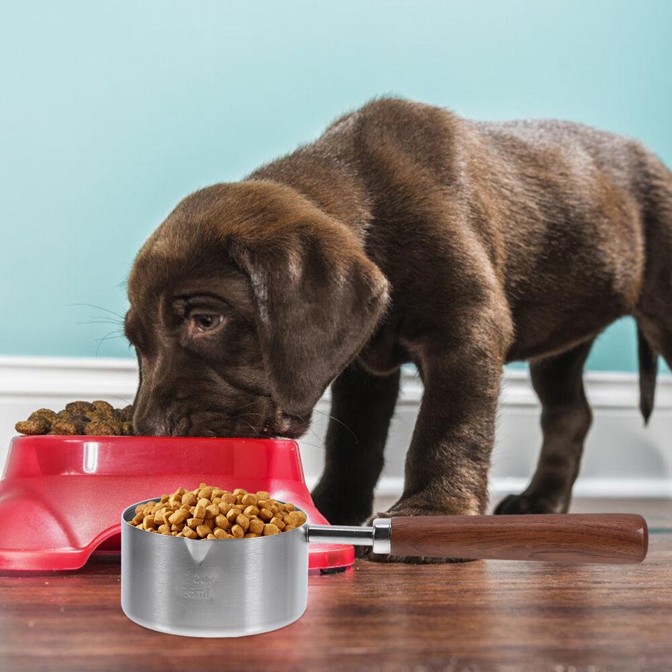 Measuring Spoon Liquid Reusable Scale Cup Dry Ingredient Dog Food eBay