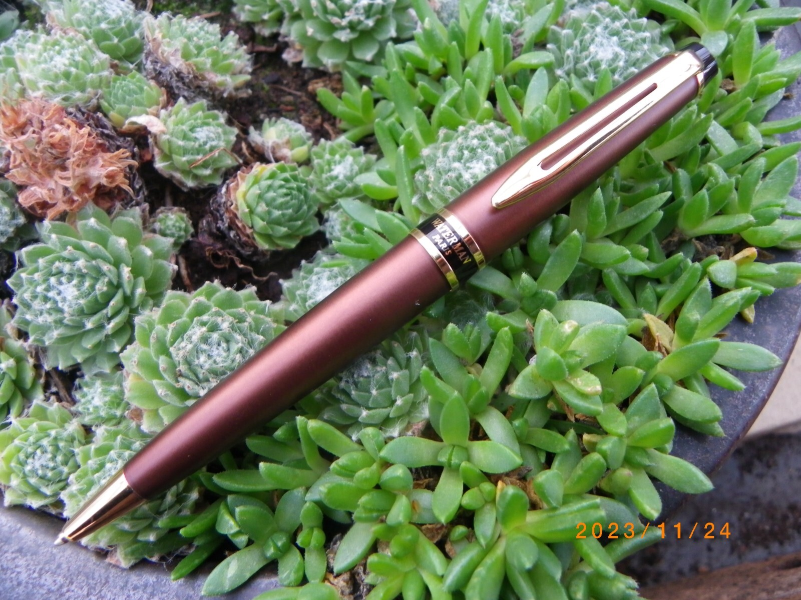 Waterman Expert stylo bille marron chic pour prendre des notes avec élégance au bureau