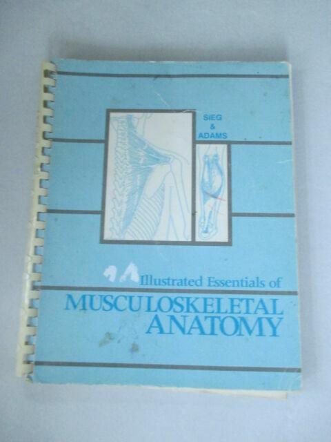 Illustrated Essentials Of Musculoskeletal Anatomy Sandra P Adams And Kay W Sieg 1996 Hardcover Student Edition For Sale Online Ebay
