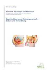 Skript Heilpraktiker Ausbildung - Geschlechtsorgane