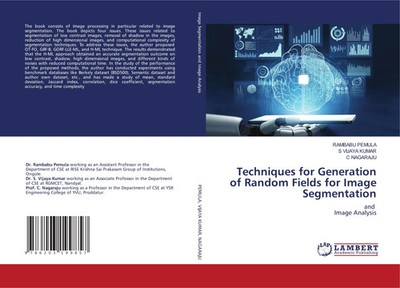 Rambabu Pemula (u. a.) | Techniques for Generation of Random Fields for Image...
