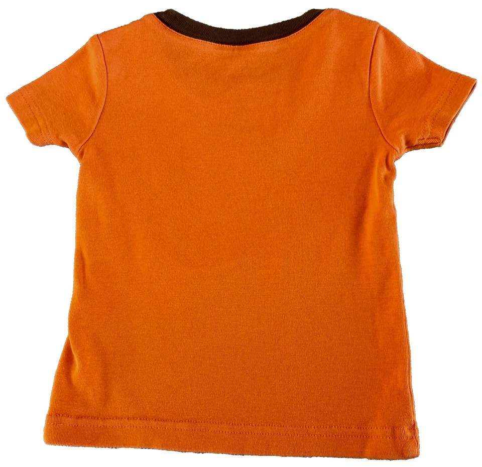 2008 GYMBOREE Bug Jar Tortuga Rana Serpiente Araña Gimmies Pijama Dormir Top 2T 2 años Foto 3 de 4