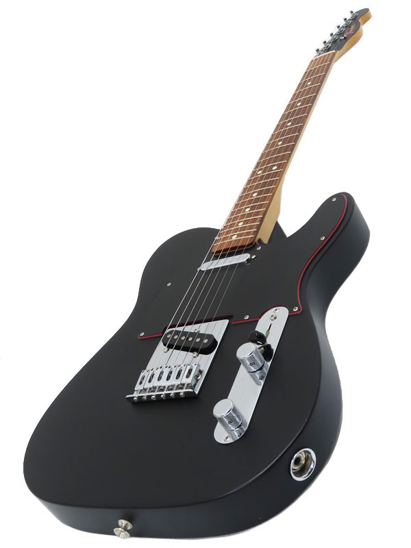 FenderMEXICO Special Edition Telecaster NOIR | eBay