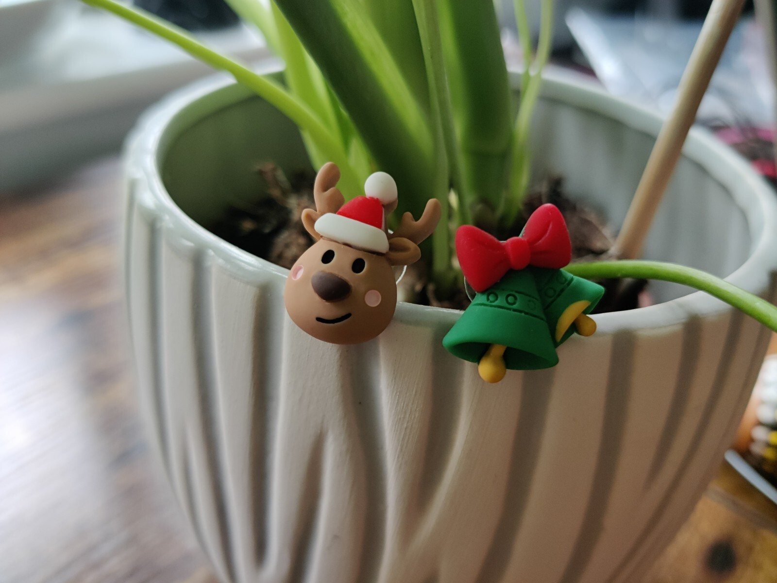 Picture 20 of 21
