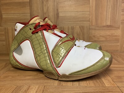 RARE  Nike Flight Windmill PE NBA Shawn Marion AKA Matrix 31 Sz 14 Game Worn