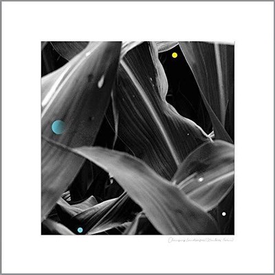 CHANGING LANDSCAPES (WAUTERS FARM) [5/31] NEW VINYL