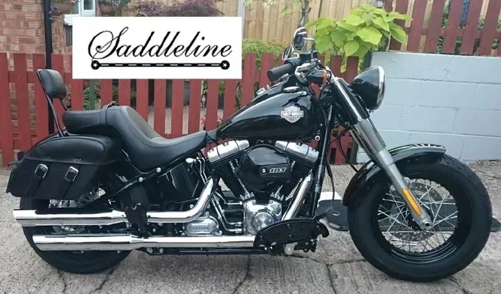 Fls softail slim deals