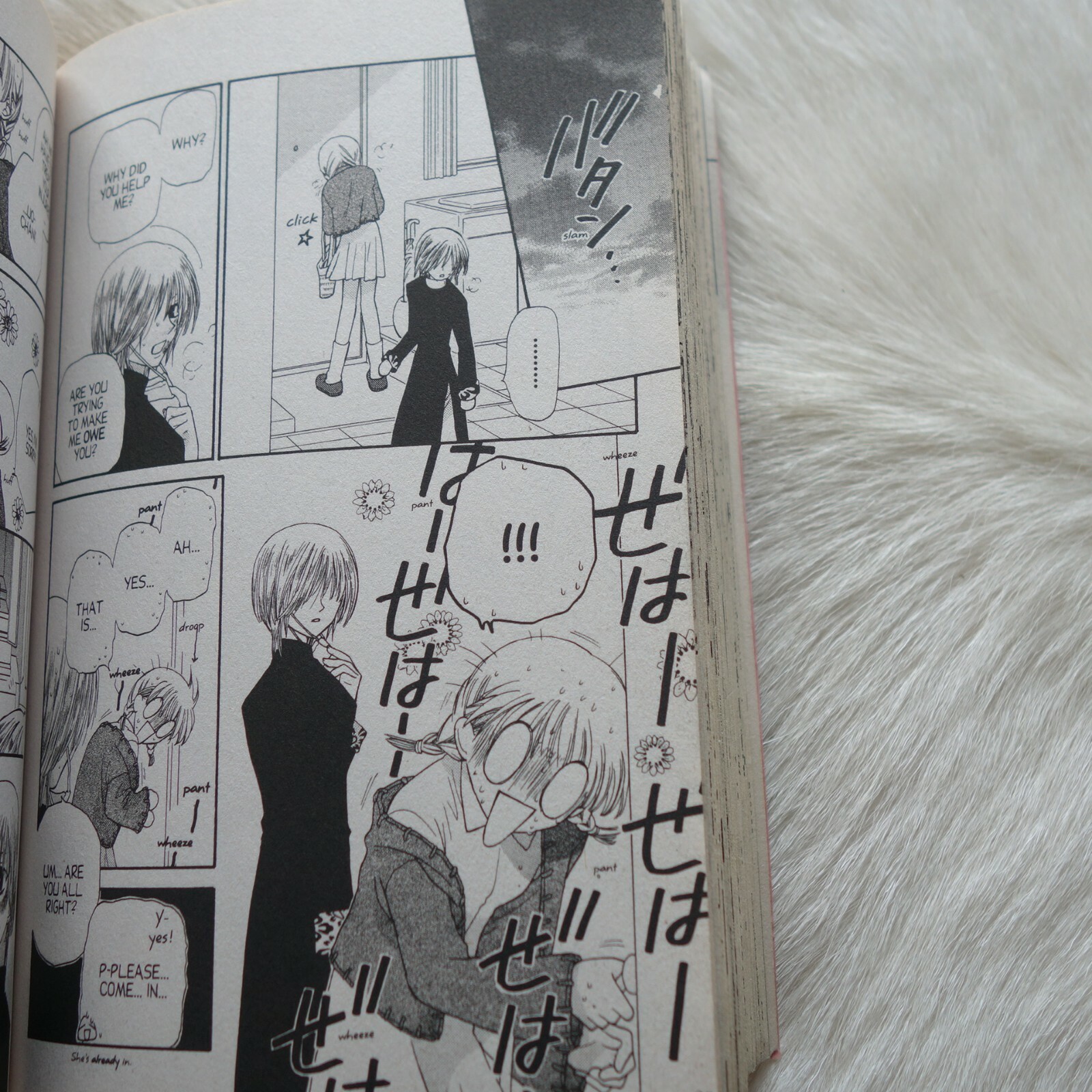 FRUITS BASKET Vol 7 Natsuki Takaya Manga TOKYOPOP Fruits Basket Manga