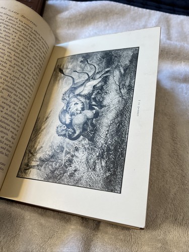 Badminton Library BIG GAME SHOOTING Africa Asia America Europe Hunting 1894 - Picture 15 of 20