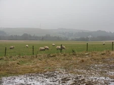 Photo A3 Misty pasture at Bogsbank Bogs Bank Looking east to the valley  c2017