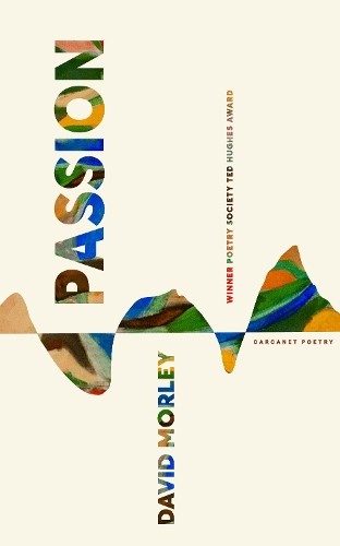 Passion by David Morley - 9781800174818