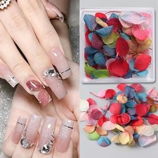 Dried Flowers Nail Art, Mix Colorful Dried Flower Petals Nail Art