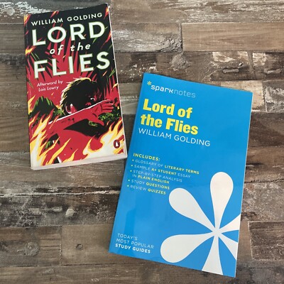 🔥Lord of the Flies SparkNotes Literature Guide And Book BUNDLE- VERY ...