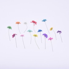 12PCS real Pressed Queen Anne's Lace Flower with stem, 5 colors dyed FCD44