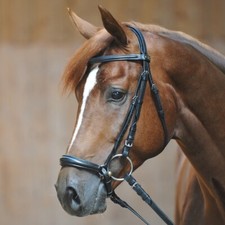 % Kavalkade Trense Lina schwarz  hannoversches Reithalfter UVP €69,90 %