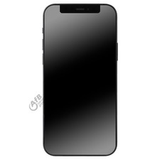 Apple iPhone 12 64GB Black Handy Smartphone ohne Simlock MGJ53ZD/A