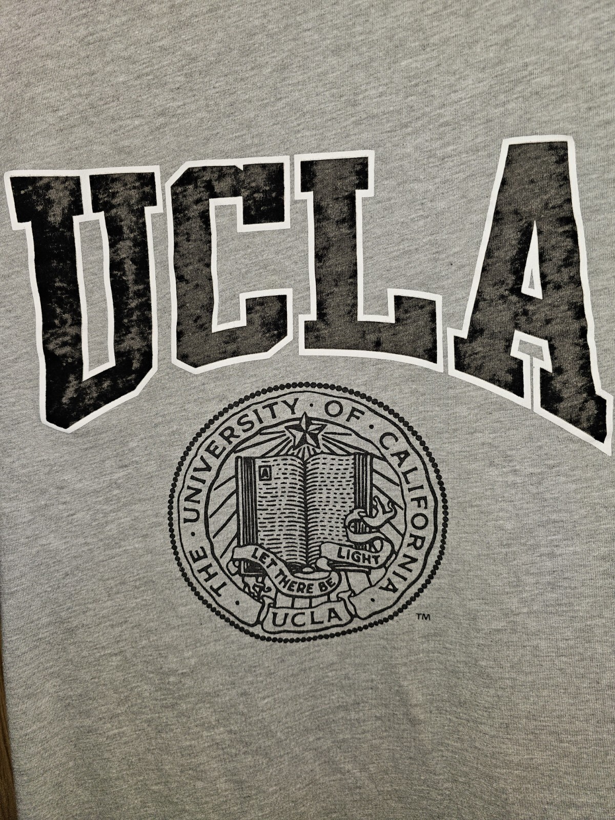 H&M X UCLA Collaboration Medium Mens Gray Graphic Logo Tshirt NCAA