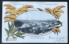 Antique Postcard The Penman Mill Paris Ont. Canadian Wildfower Series