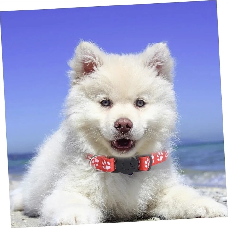 Hundehalsband Mini kleine Hunde Welpen Chihuahua rosa, rot, schwarz, grün etc. - Bild 2 von 4