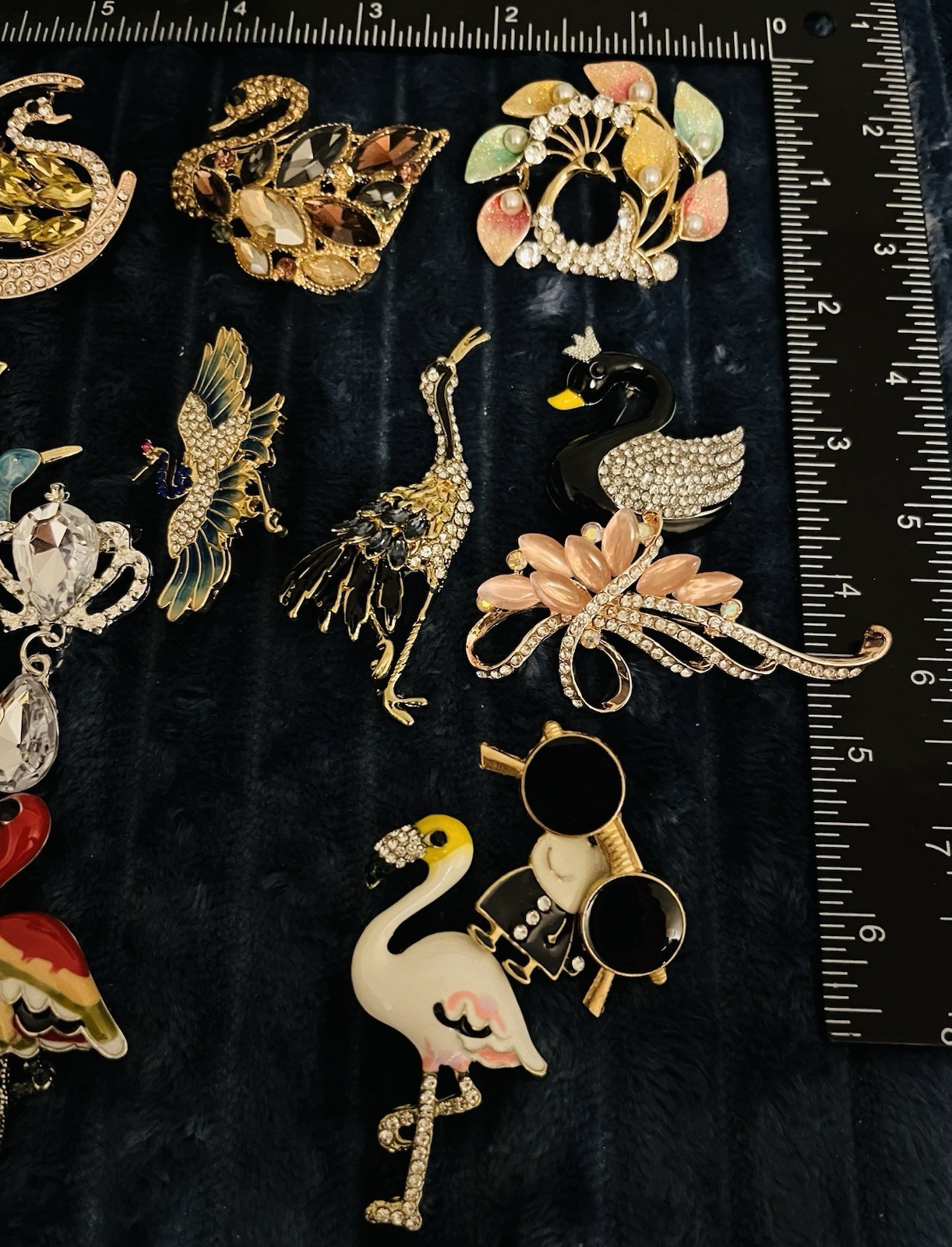 Picture 4 of 5