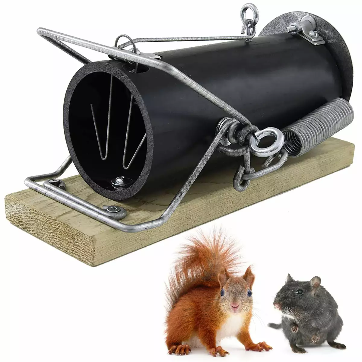 Red Squirrel Traps - Ground Squirrel Traps - Chipmunk Trap