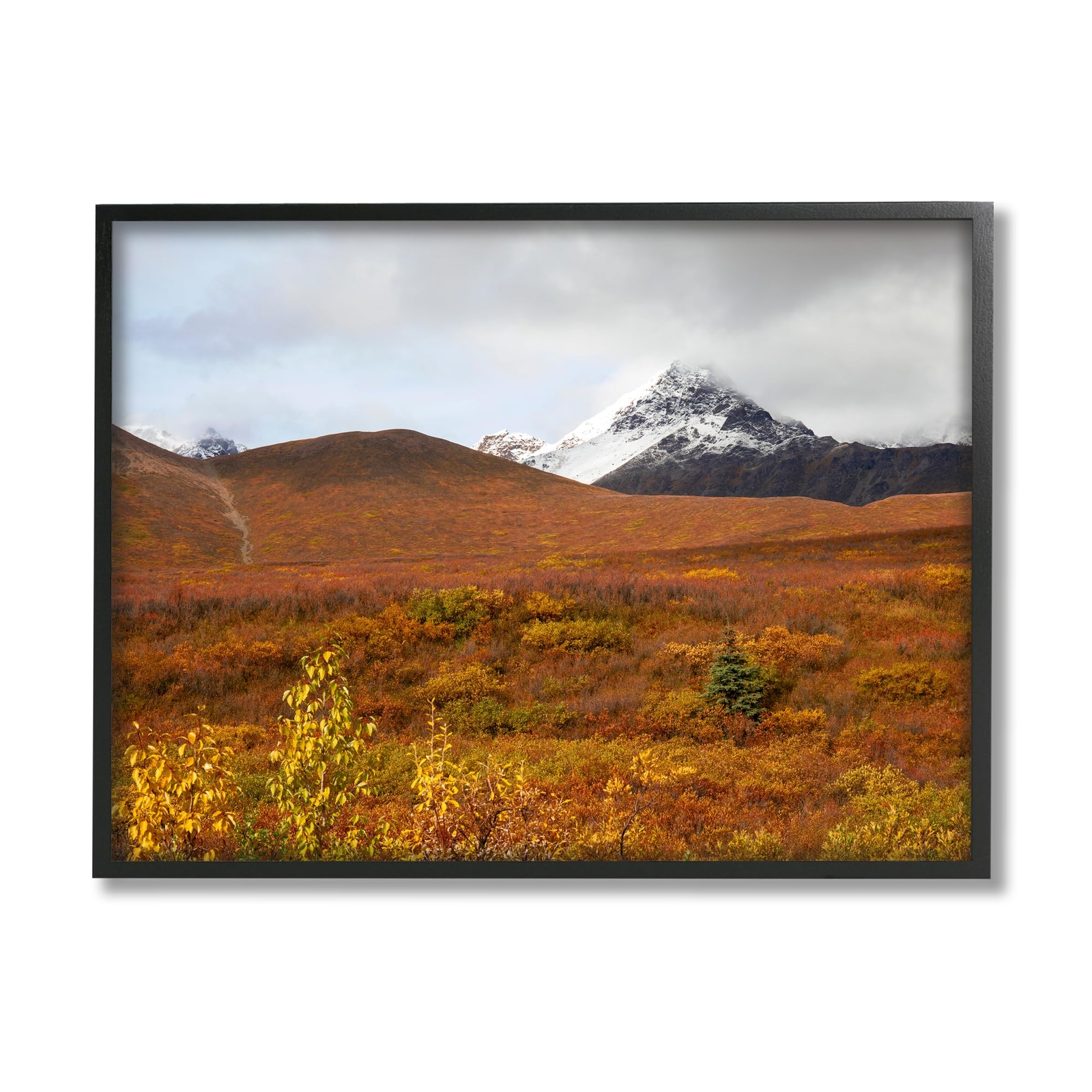 Meadow with Distant Peak Framed Giclee Art by Daniel Sproul