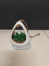 Home Micro Landscape Adornment Succulent Desktop Decoration Chipped