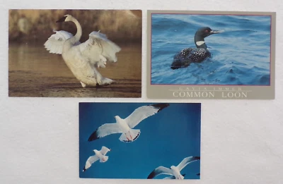 Rare Collectible Postage Stamp – Intricate Detailing, Strong Color Contrast