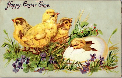 Tucks 112 Chick Hatching From Egg Happy Easter Time Vintage Postcard N63
