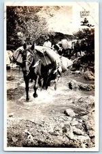 c1920's Horse Train Scene Eatons' Ranch Wold Wyoming WY RPPC Photo Postcard
