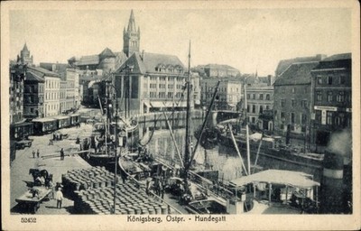 Ak Kaliningrad Königsberg Ostpreußen, Hundegatt - 4354526