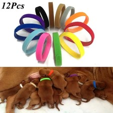 12 Pcs/Set Puppy Newborn Pets Identify Collars Adjustable Nylon Small Pet Dog Co