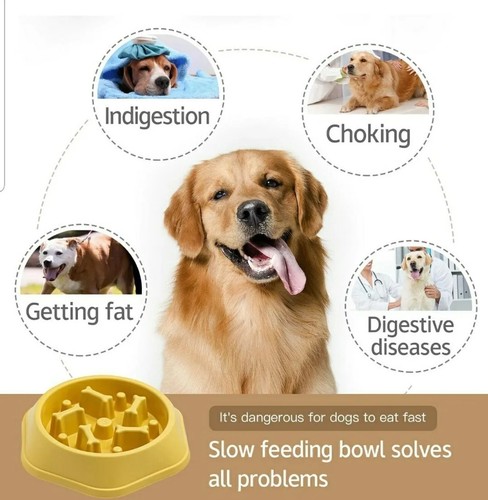 50 Dog & cat slow feeder bowl anti gulping healthy eating for your pet- 4 colors - Picture 12 of 18