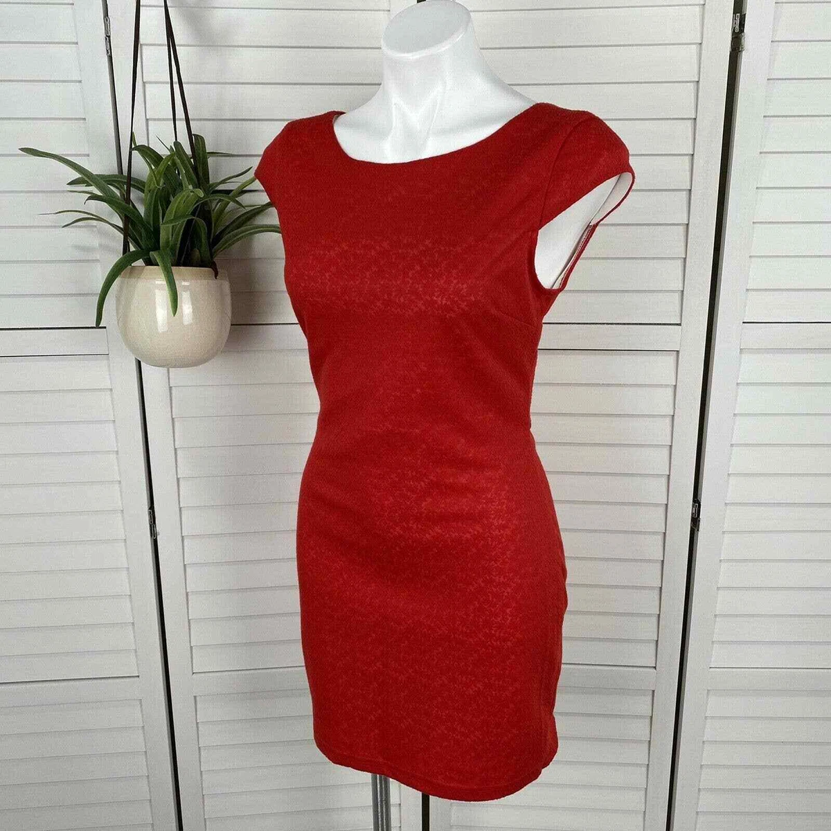 Adelyn rae hotsell lace cocktail dress