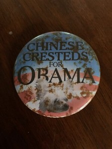 Chinese crested for Obama Pin