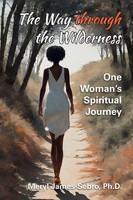 Meryl James-Sebro | The Way Through The Wilderness | Taschenbuch | Englisch