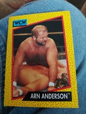 WCW WORLD CHAMPIONSHIP WRESTLING  1991 TRADING CARD #52 ARN ANDERSON