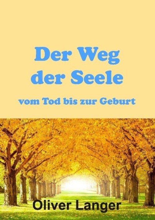 Thumbnail - Der Weg Der Seele Vom Tod Bis Zur Geburt | Oliver Langer | Deutsch |