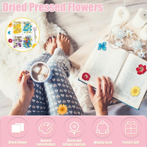 160 Pcs Dried Pressed Flowers for Resin Molds Colorful Real Pressed