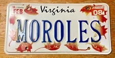MOROLES Virginia Vanity License Plate VA Tags 2008 Sticker Fall Leaves Design