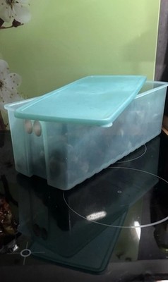 Tupperware Prima Klima Frischebox Grün  3,6 Liter - Top